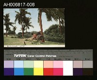 藏品(海南島明信片)的圖片